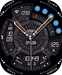 Activity Hub Watch Face - DTNO.1 Smart Watch